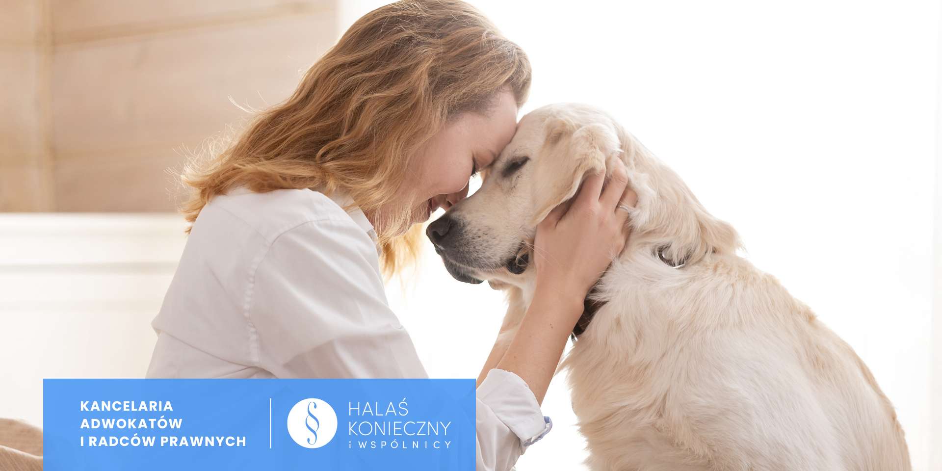 Kobieta przytulająca labradora