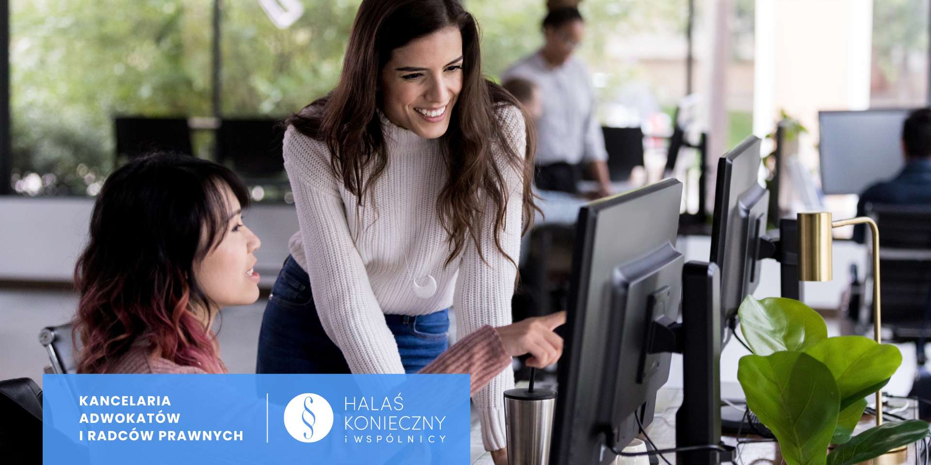 Dział IT, praca przy komputerach